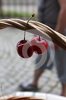 Cherries. Cherry. Organic cherries in basket on a farmerÃ¢â¬â¢s market. Red cherry background. Fresh cherries texture. Healthy food.